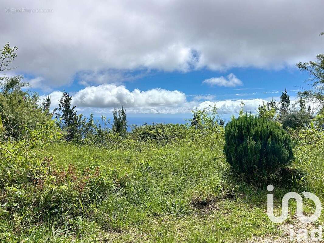 Photo 5 - Terrain à SAINT-DENIS