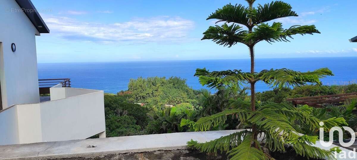 Photo 4 - Maison à PETITE-ILE