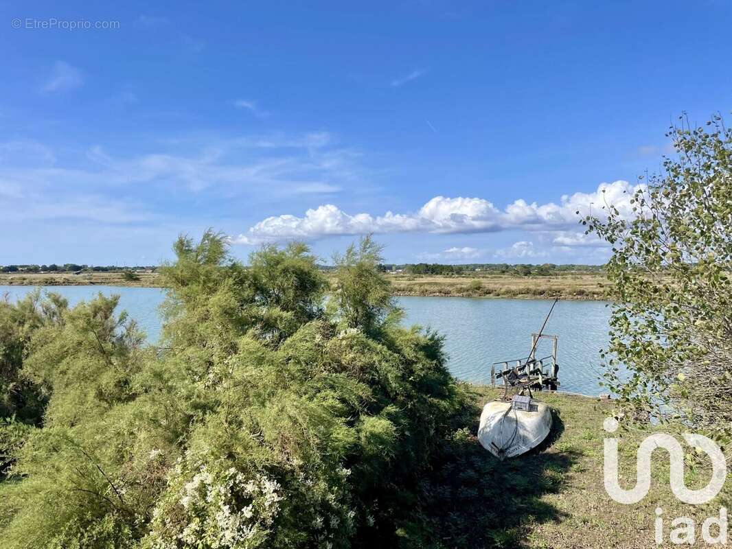 Photo 3 - Maison à LE FENOUILLER