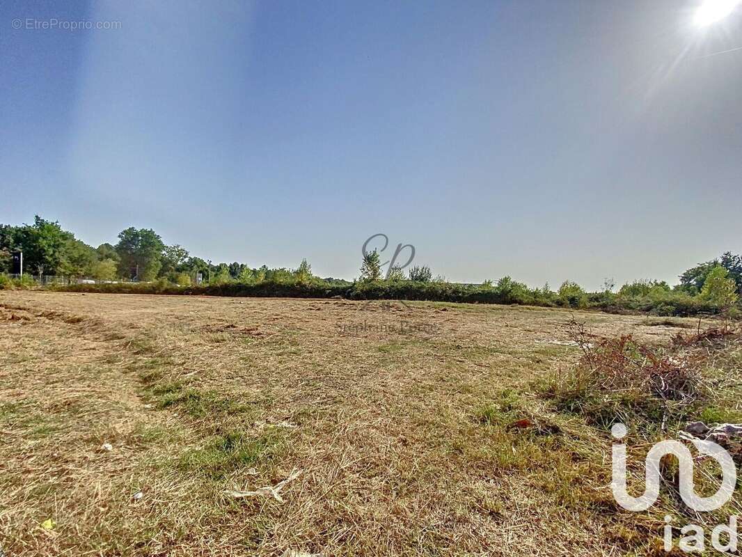 Photo 2 - Terrain à MONTAUBAN