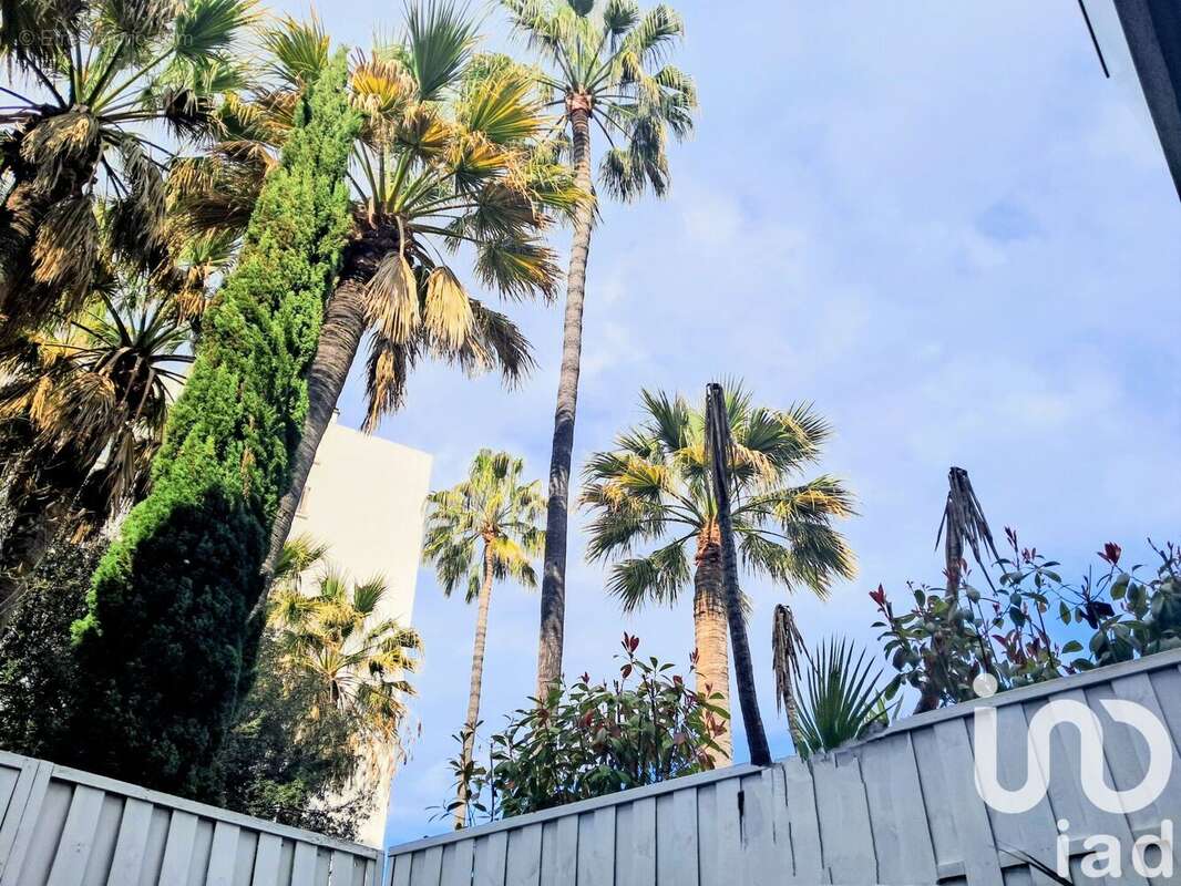 Photo 6 - Appartement à CANNES