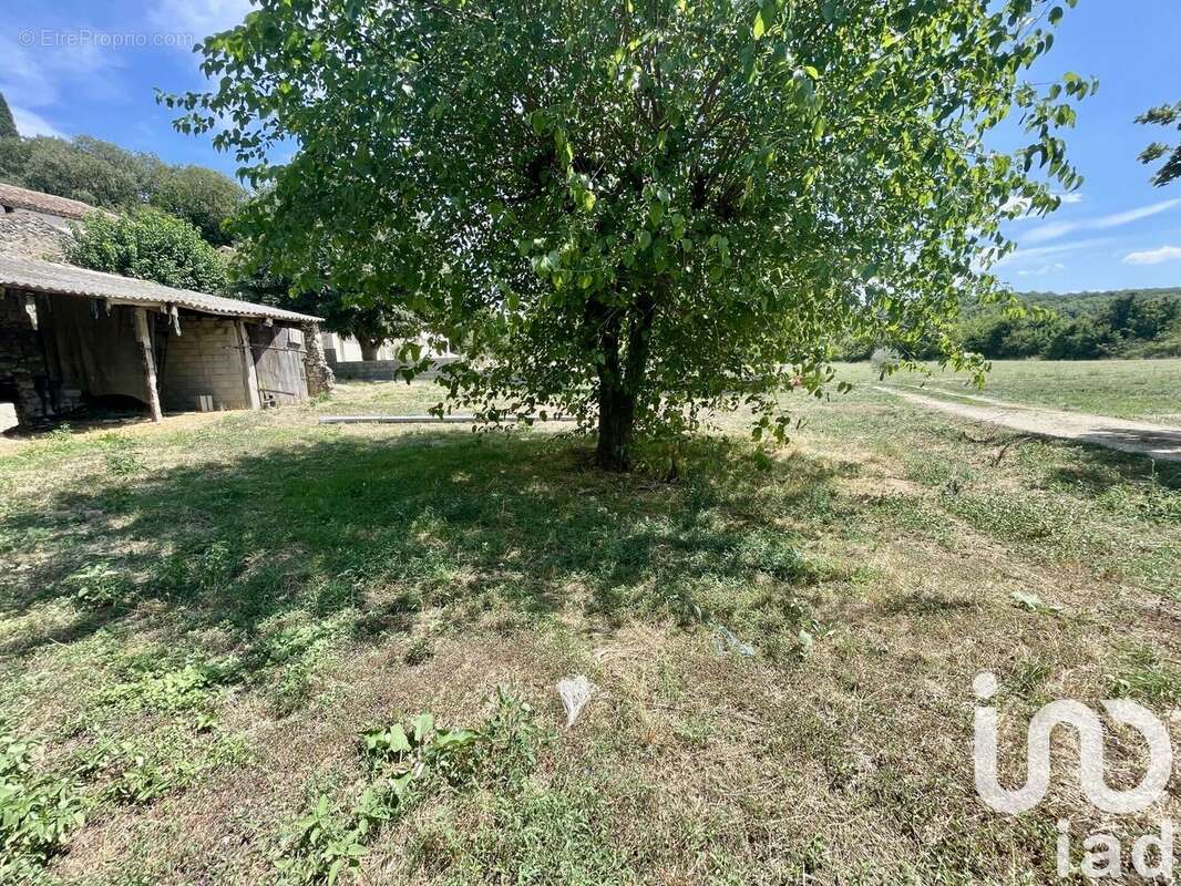 Photo 7 - Maison à LUSSAN