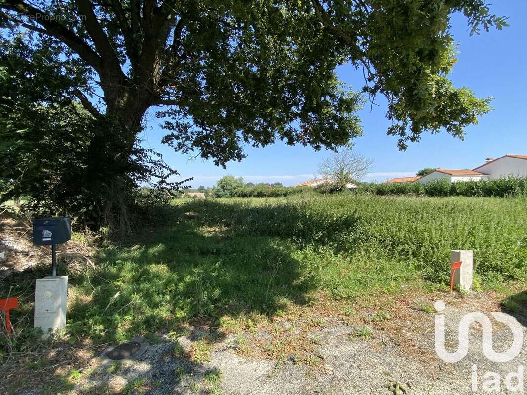 Photo 2 - Terrain à VENDRENNES