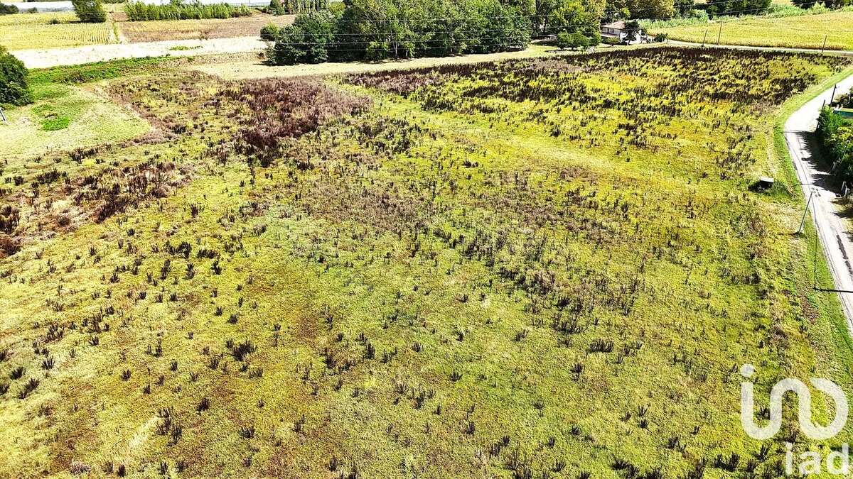 Photo 2 - Terrain à MOISSAC