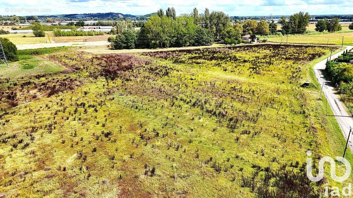 Photo 3 - Terrain à MOISSAC