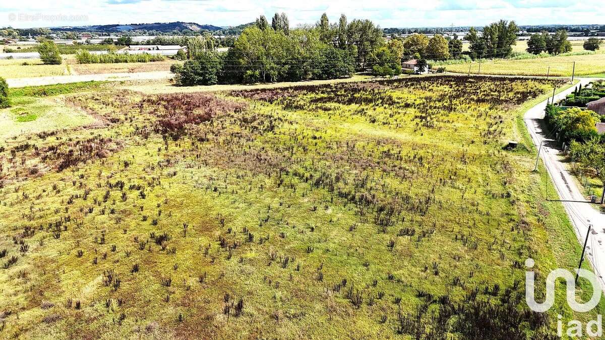 Photo 4 - Terrain à MOISSAC