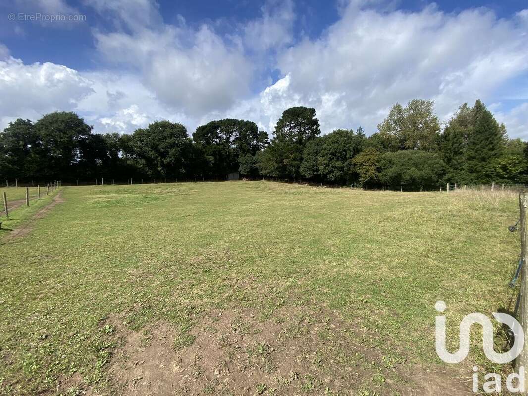 Photo 5 - Maison à PLOUNERIN