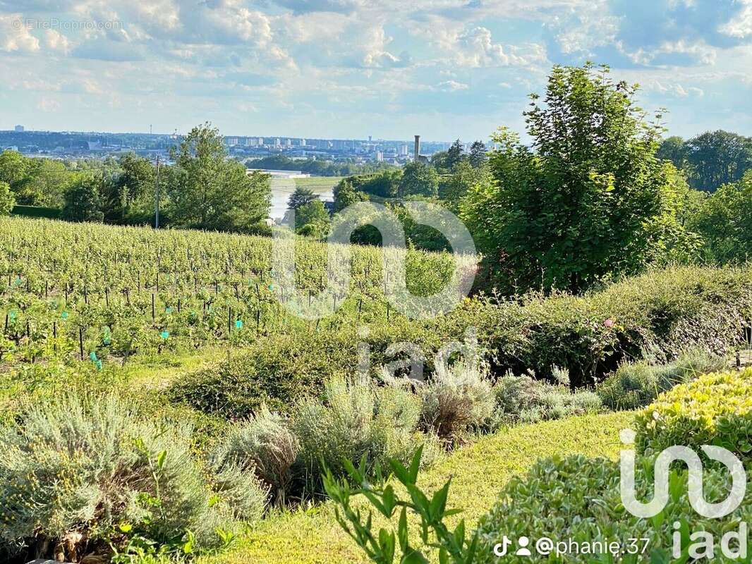 Photo 2 - Maison à ROCHECORBON