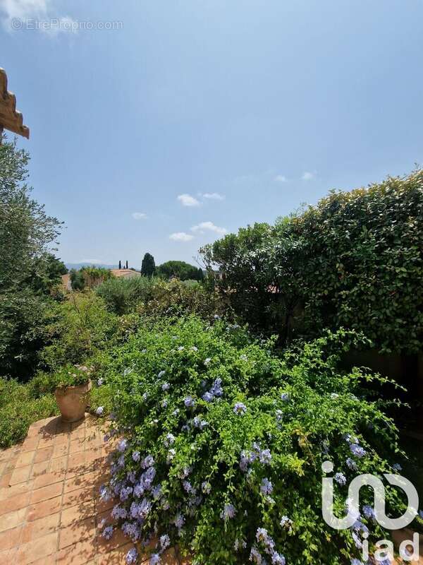 Photo 8 - Maison à SANARY-SUR-MER