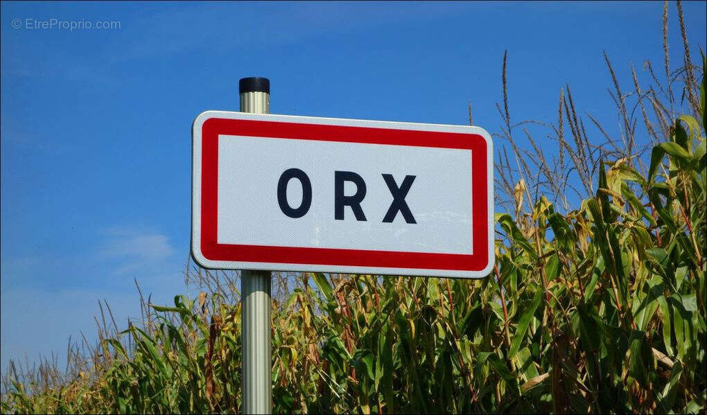 Terrain à ORX