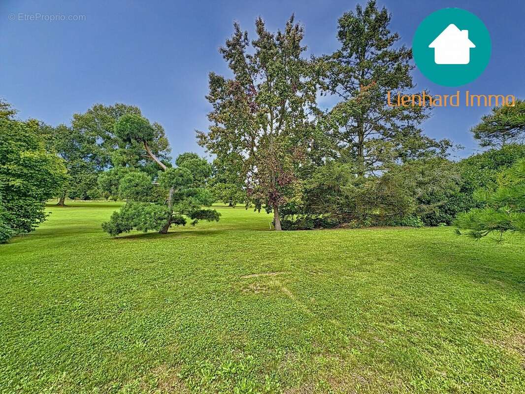 Maison à LA WANTZENAU