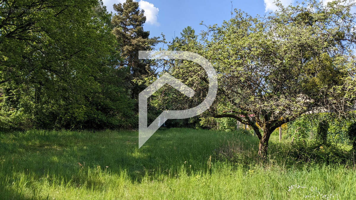 Terrain à MAGNY-LES-HAMEAUX