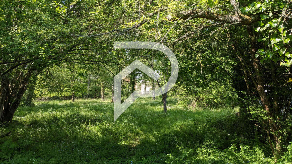 Terrain à MAGNY-LES-HAMEAUX