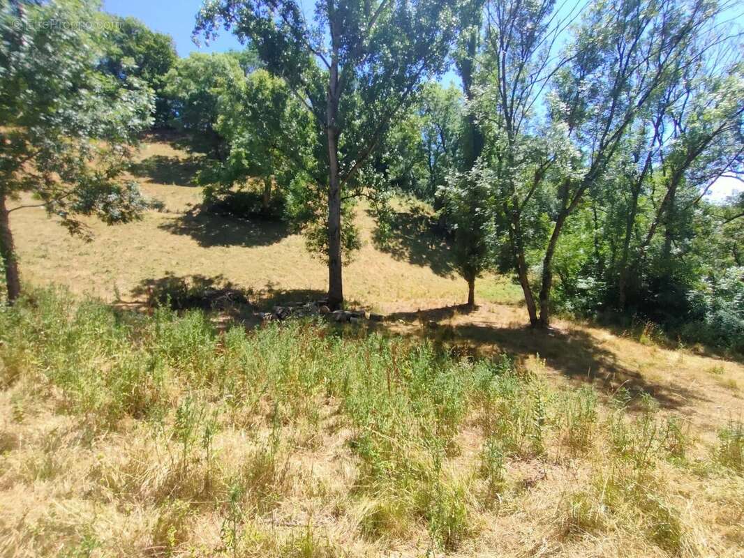 Terrain à LE MONASTERE