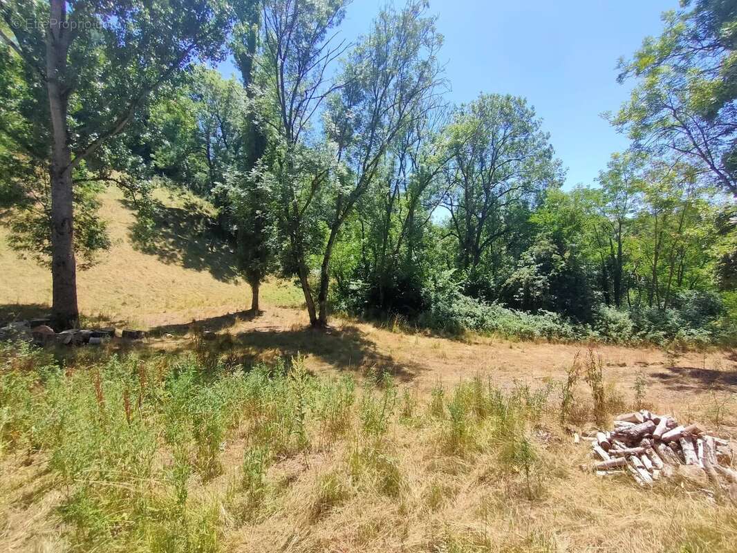 Terrain à LE MONASTERE