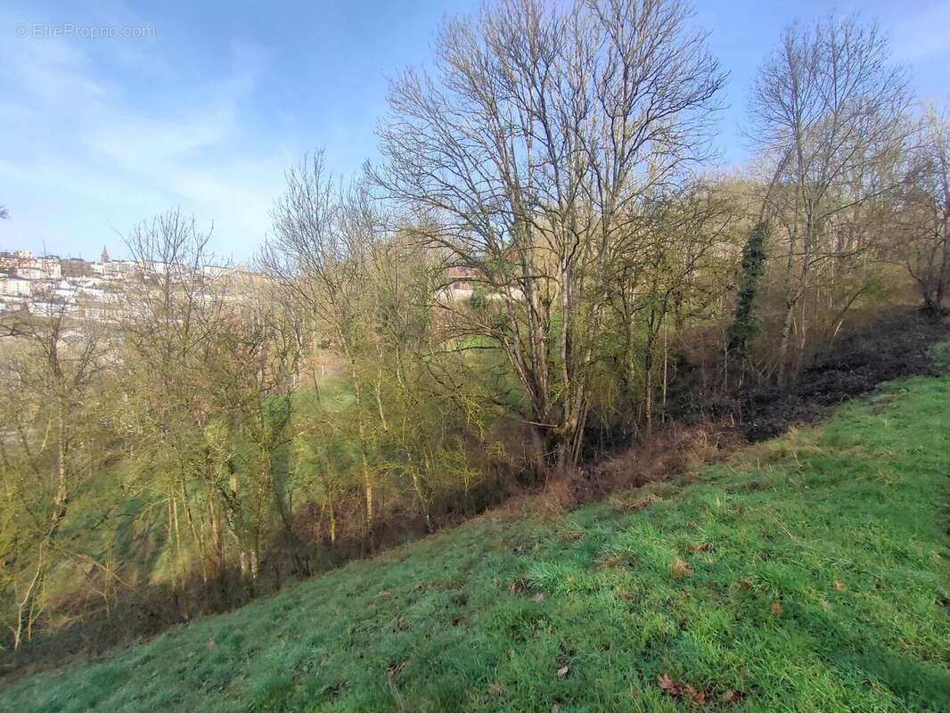 Terrain à LE MONASTERE