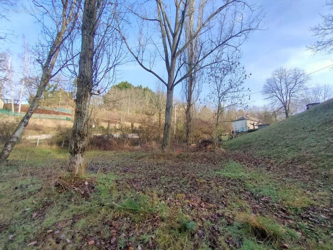 Terrain à LE MONASTERE