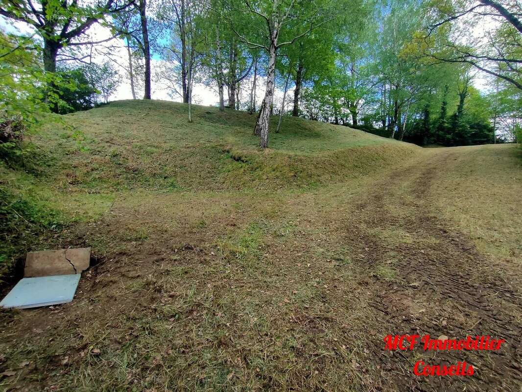 Terrain à PONT-DE-SALARS