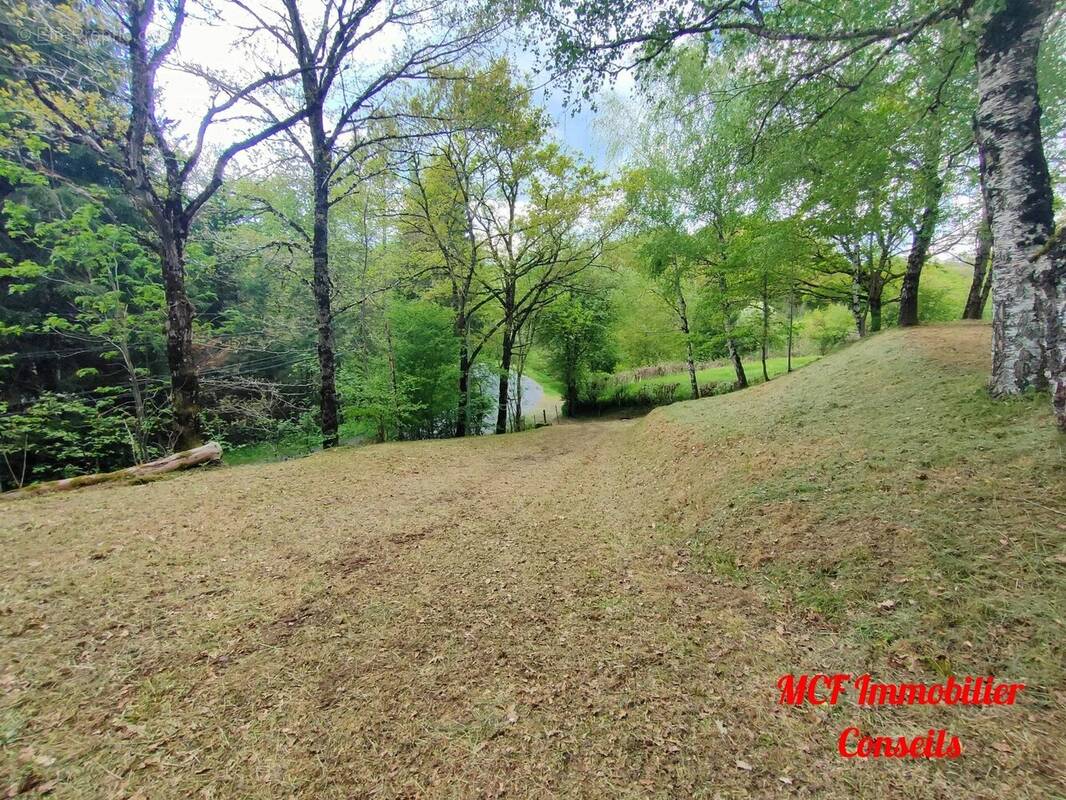 Terrain à PONT-DE-SALARS