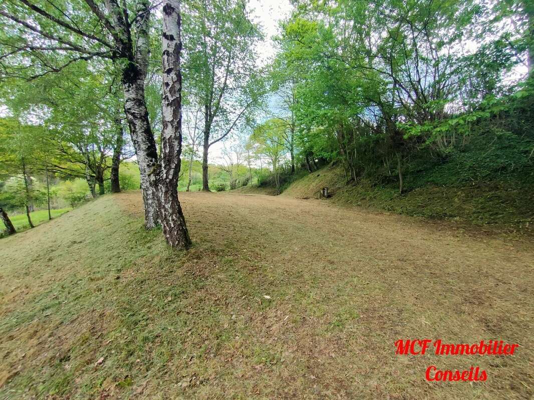 Terrain à PONT-DE-SALARS