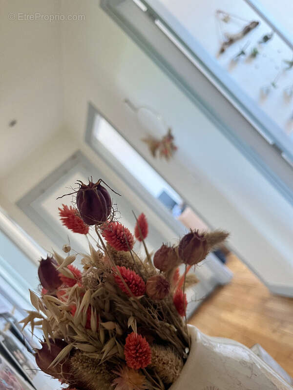 Appartement à TOURS