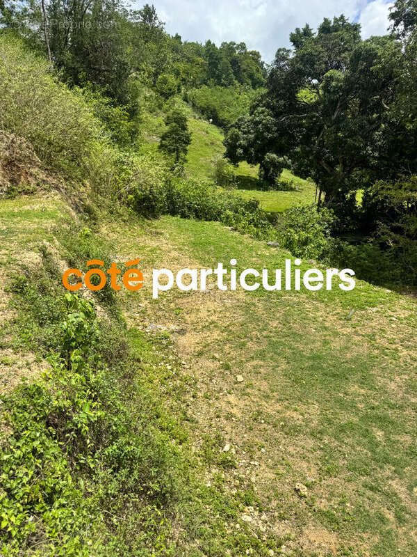 Terrain à LE GOSIER