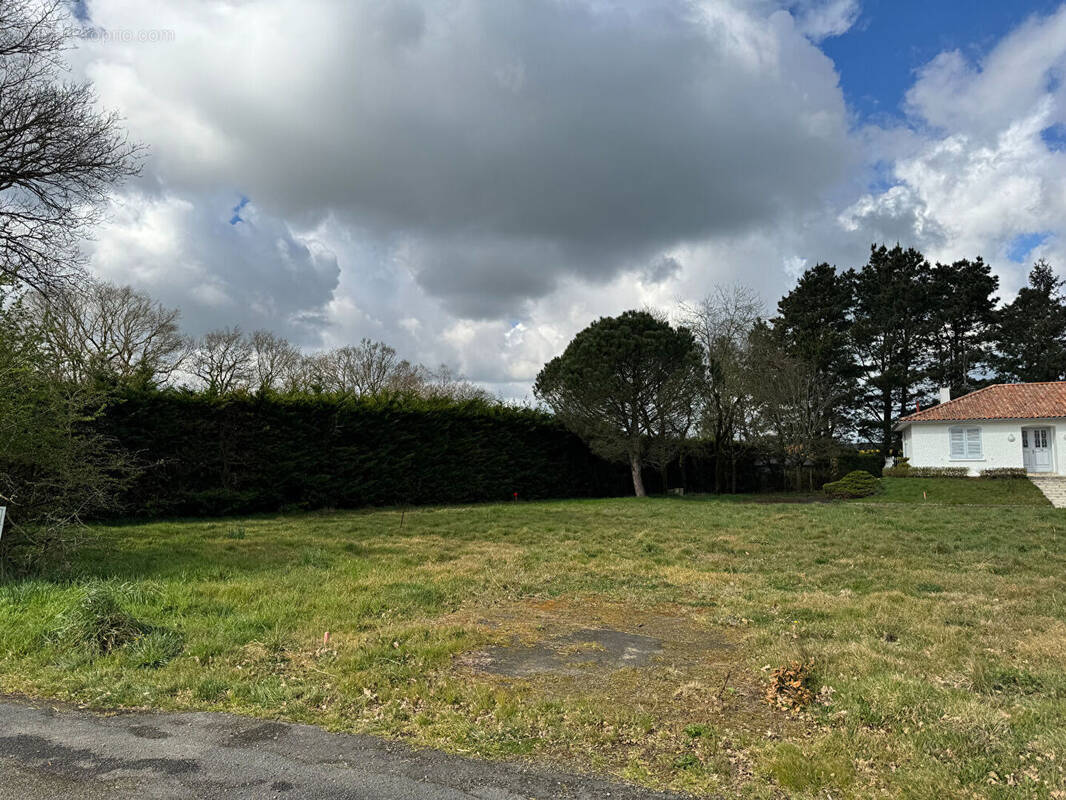 Terrain à L&#039;HERBERGEMENT