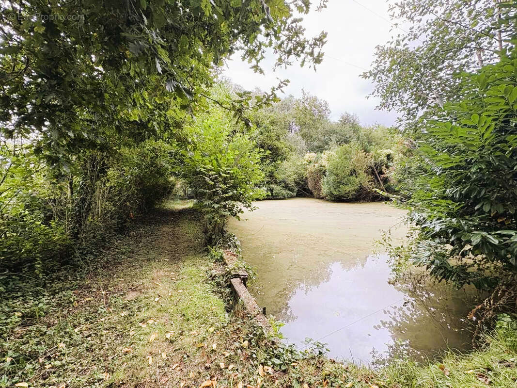 Terrain à PARGNY-FILAIN