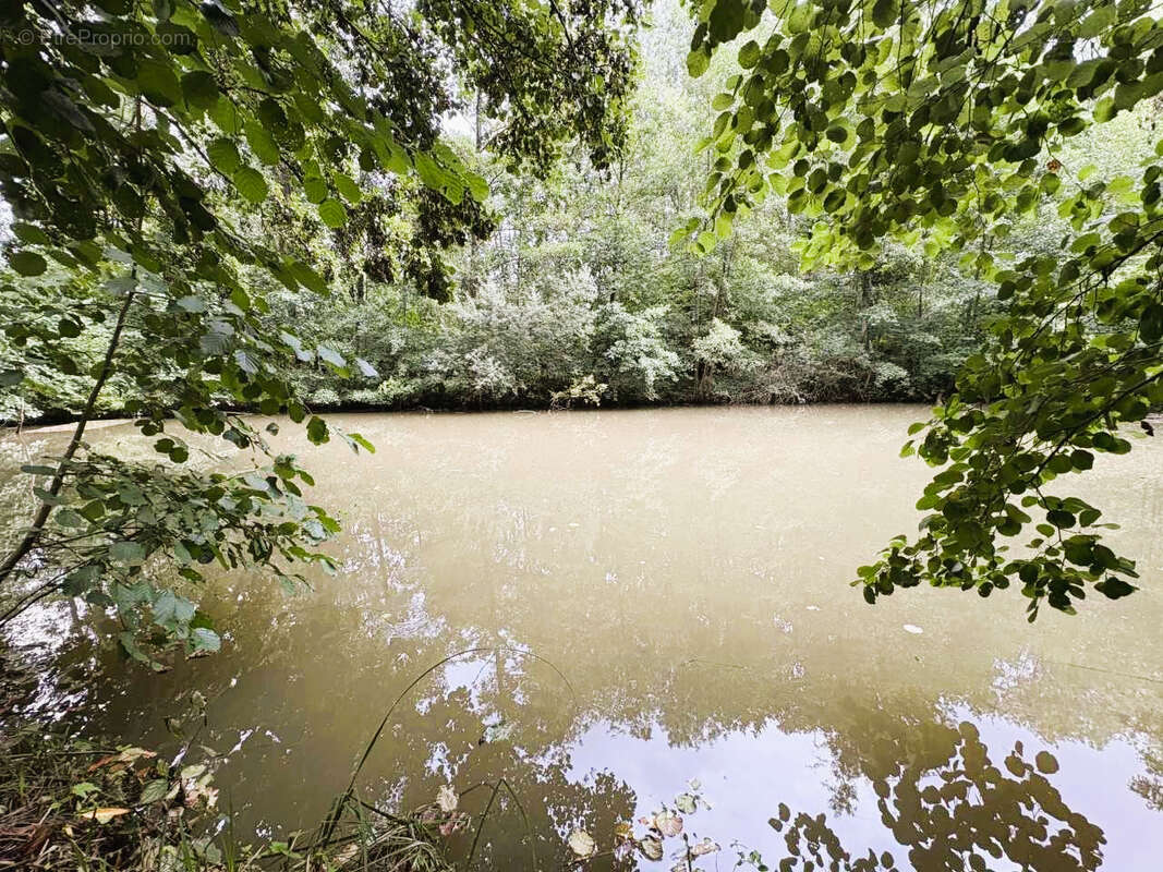 Terrain à PARGNY-FILAIN