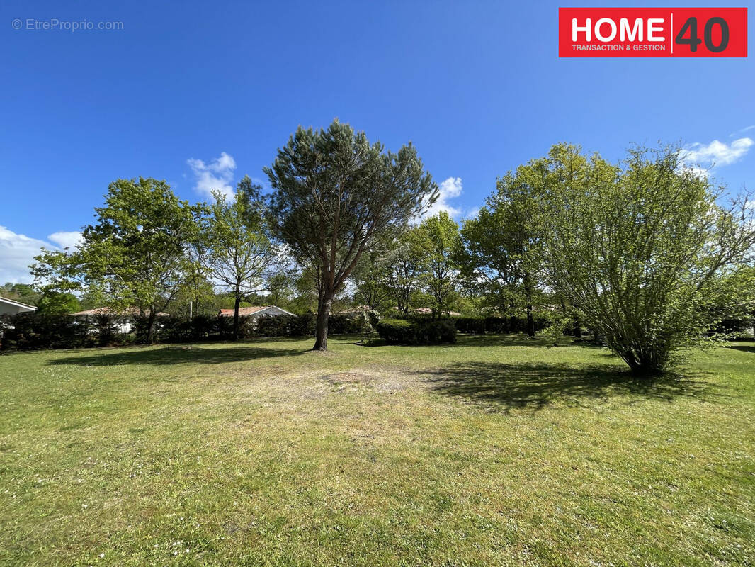 Terrain à SANGUINET