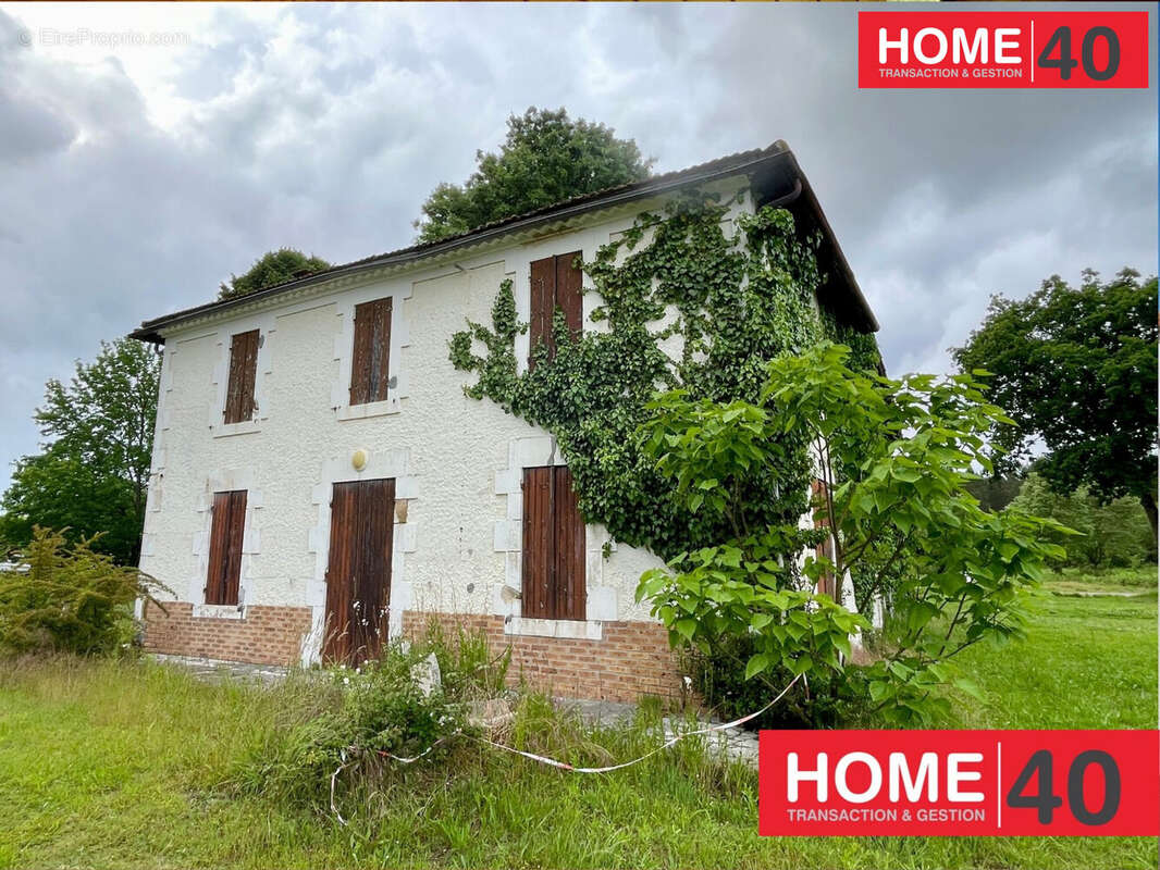 Terrain à SANGUINET