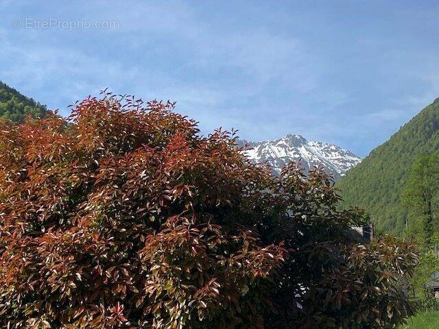Appartement à BAGNERES-DE-BIGORRE