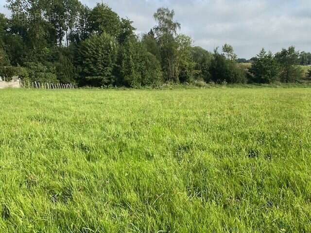 Terrain à ARCIZAC-ADOUR