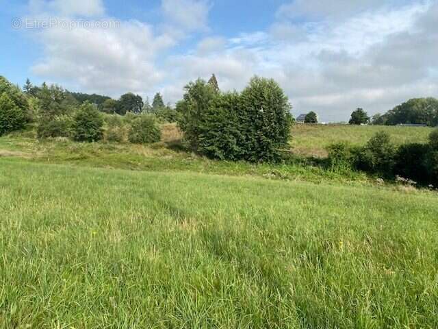 Terrain à ARCIZAC-ADOUR