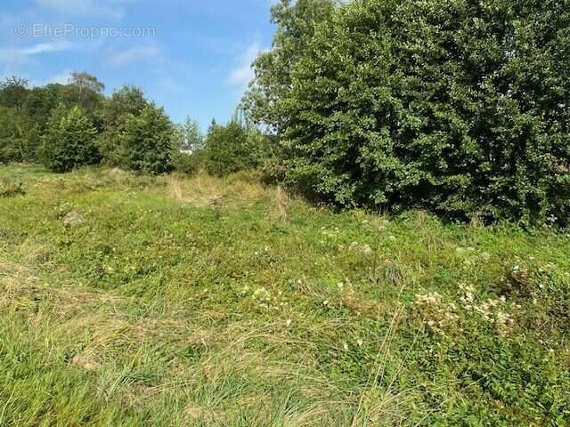 Terrain à ARCIZAC-ADOUR