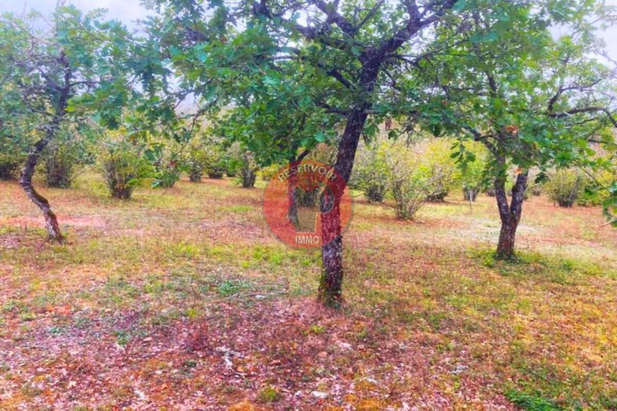 Terrain à AISY-SUR-ARMANCON