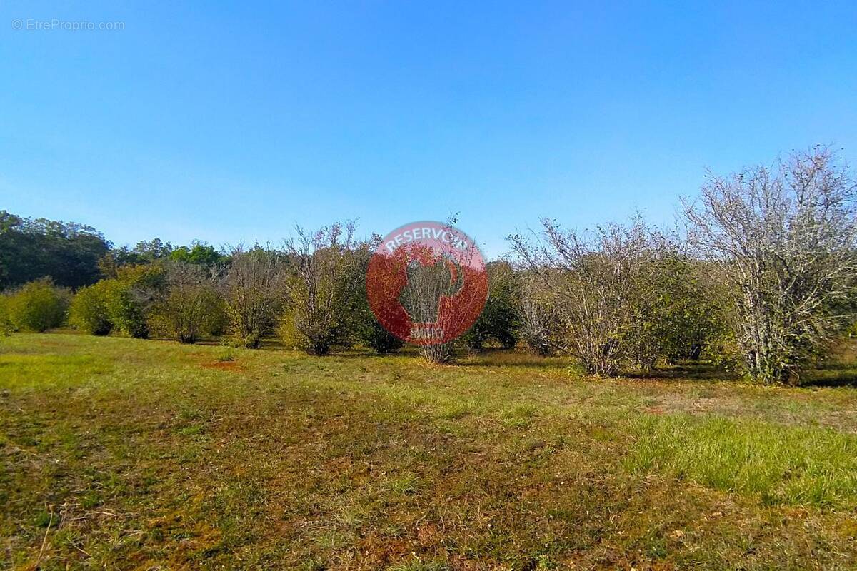 Terrain à AISY-SUR-ARMANCON