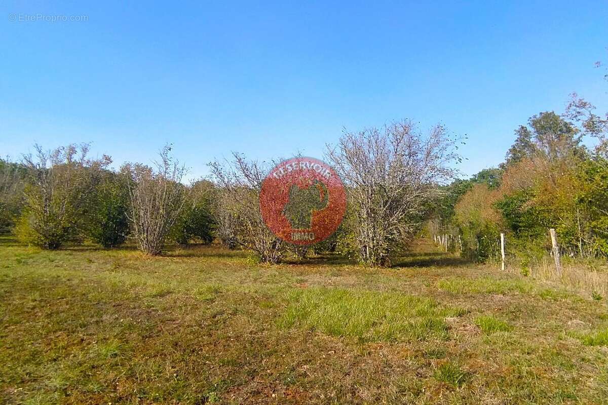 Terrain à AISY-SUR-ARMANCON