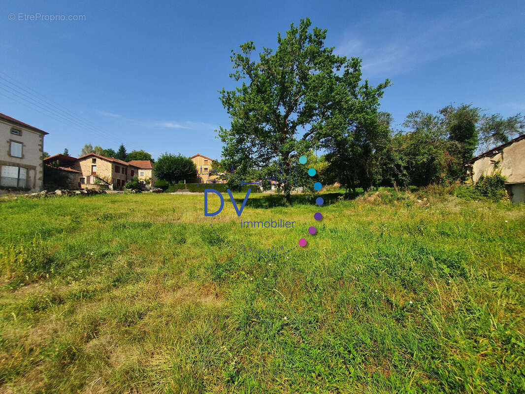 Terrain à SAINT-MAURICE-LES-CHATEAUNEUF