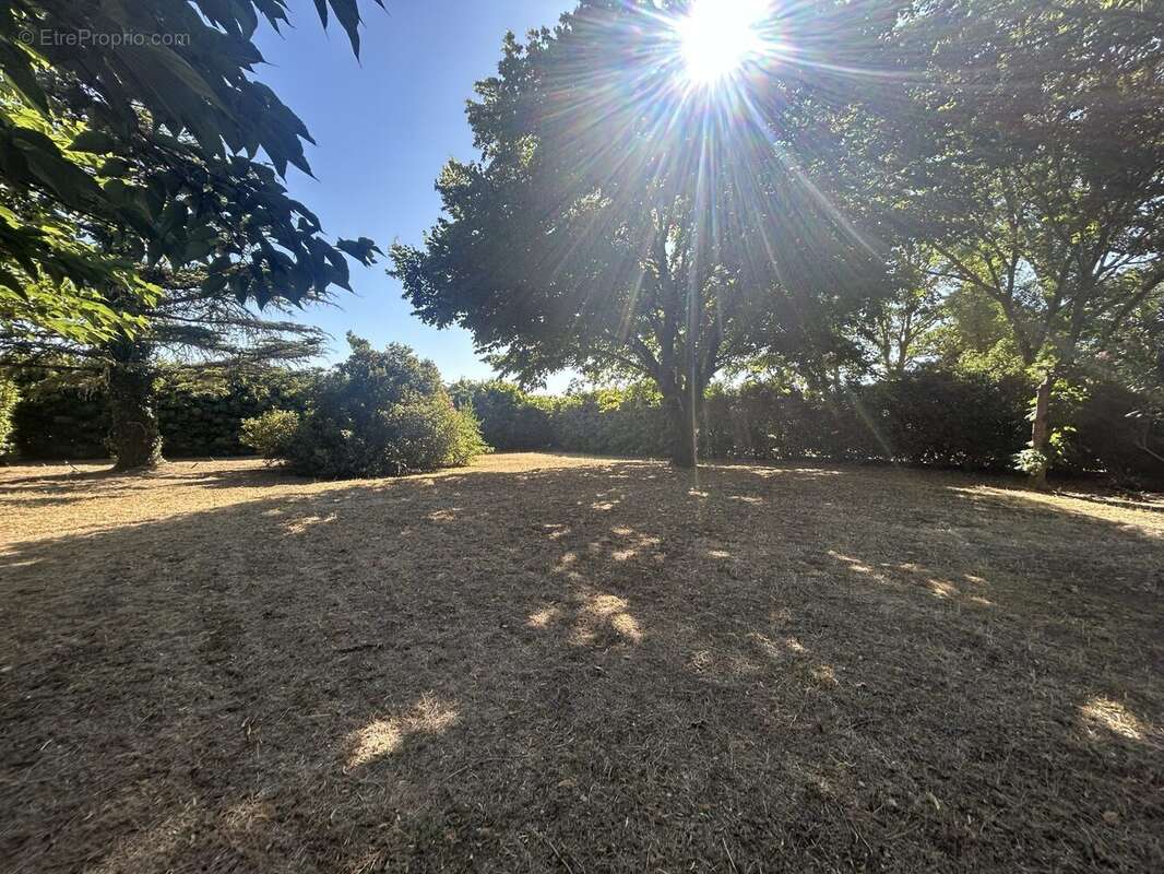 Terrain à MAS-SAINTES-PUELLES