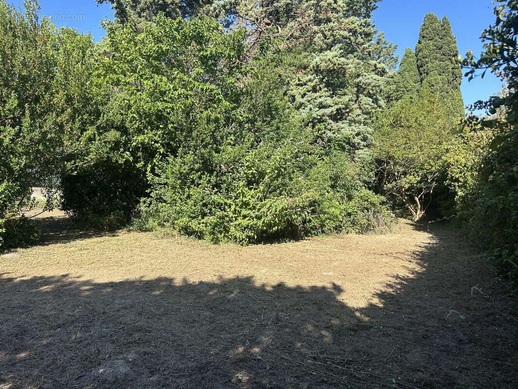 Terrain à MAS-SAINTES-PUELLES