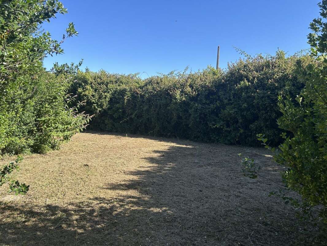 Terrain à MAS-SAINTES-PUELLES