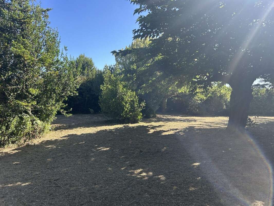 Terrain à MAS-SAINTES-PUELLES