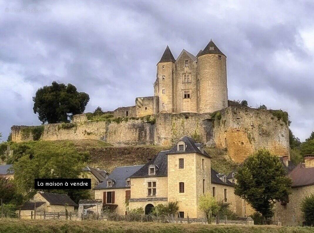 Maison à SALIGNAC-EYVIGUES