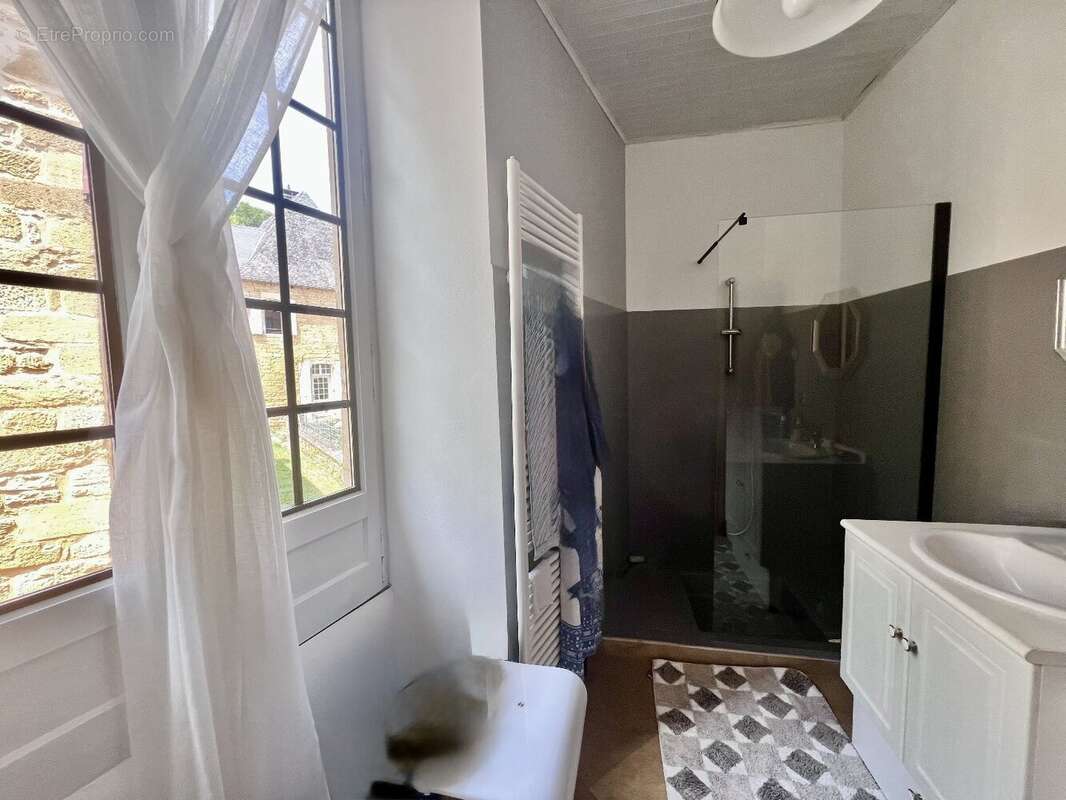 Maison à SALIGNAC-EYVIGUES