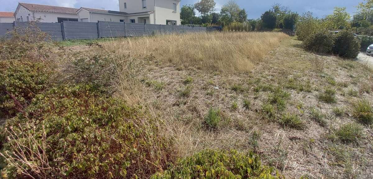 Terrain à CHATEAUBERNARD