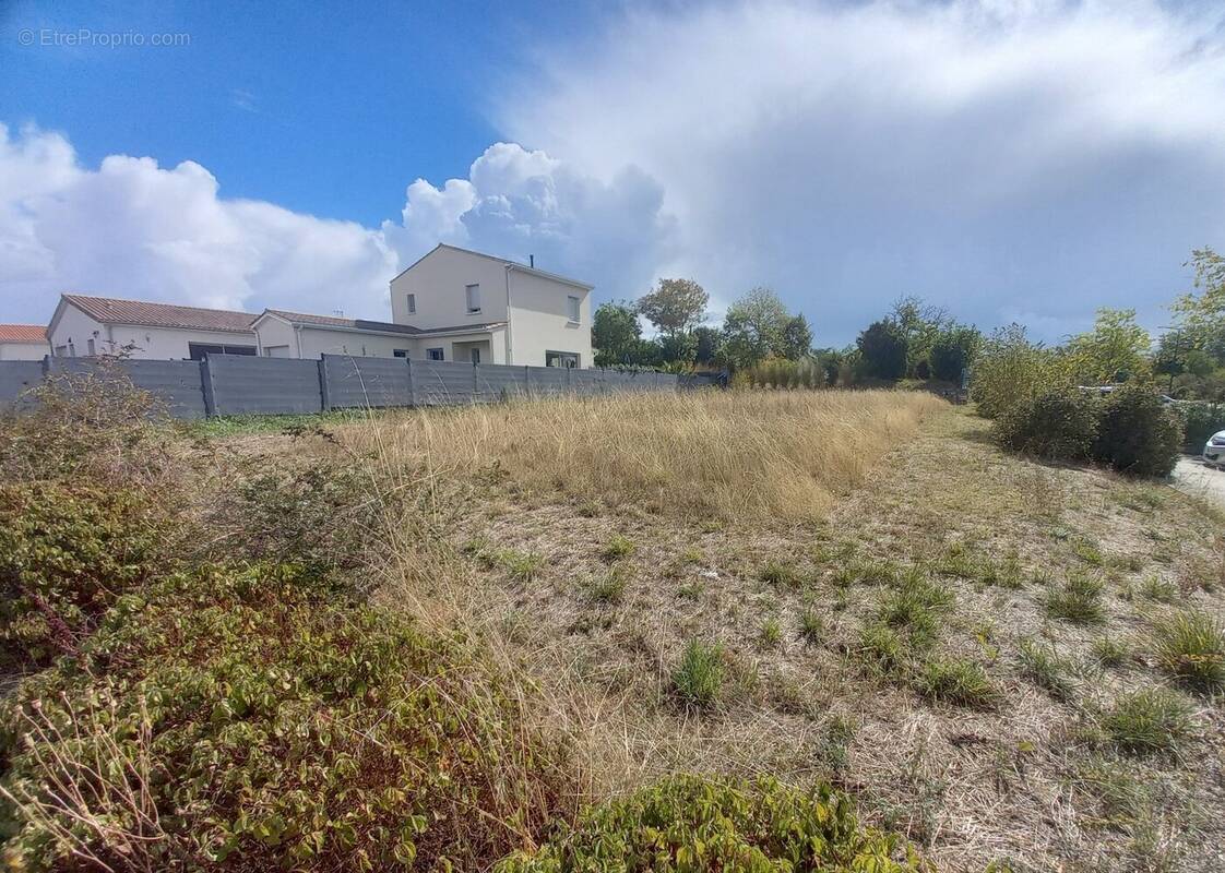 Terrain à CHATEAUBERNARD