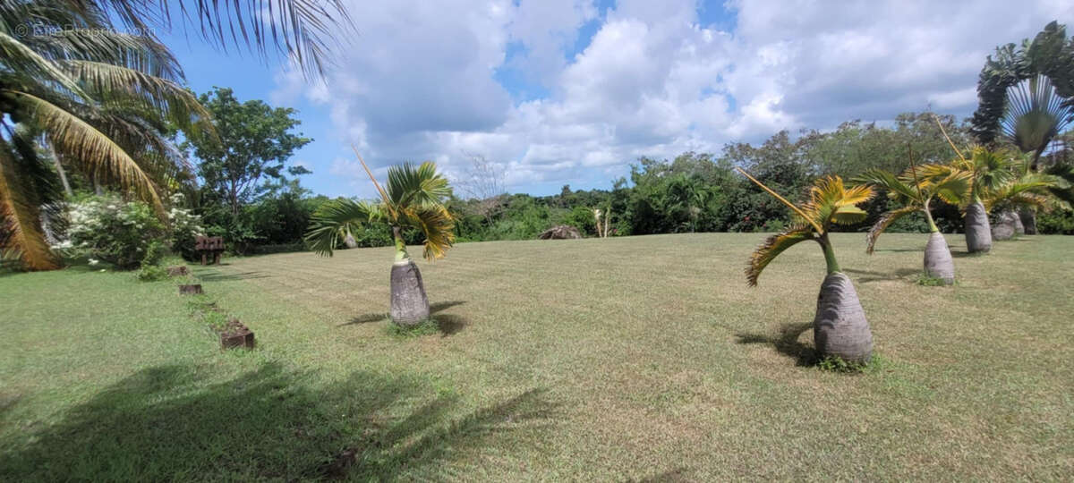 Maison à SAINTE-ANNE