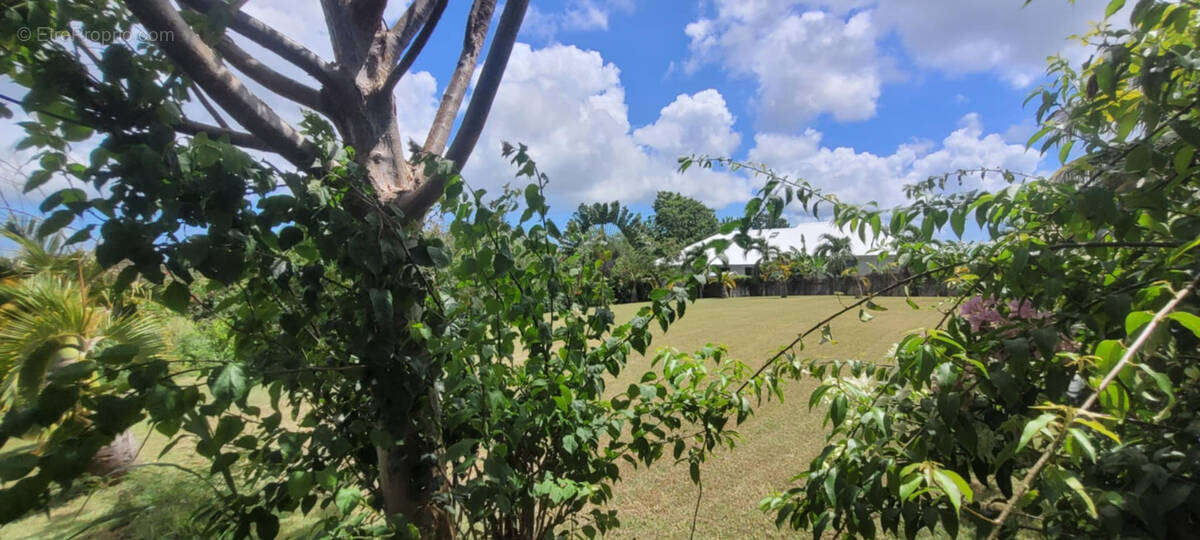 Maison à SAINTE-ANNE