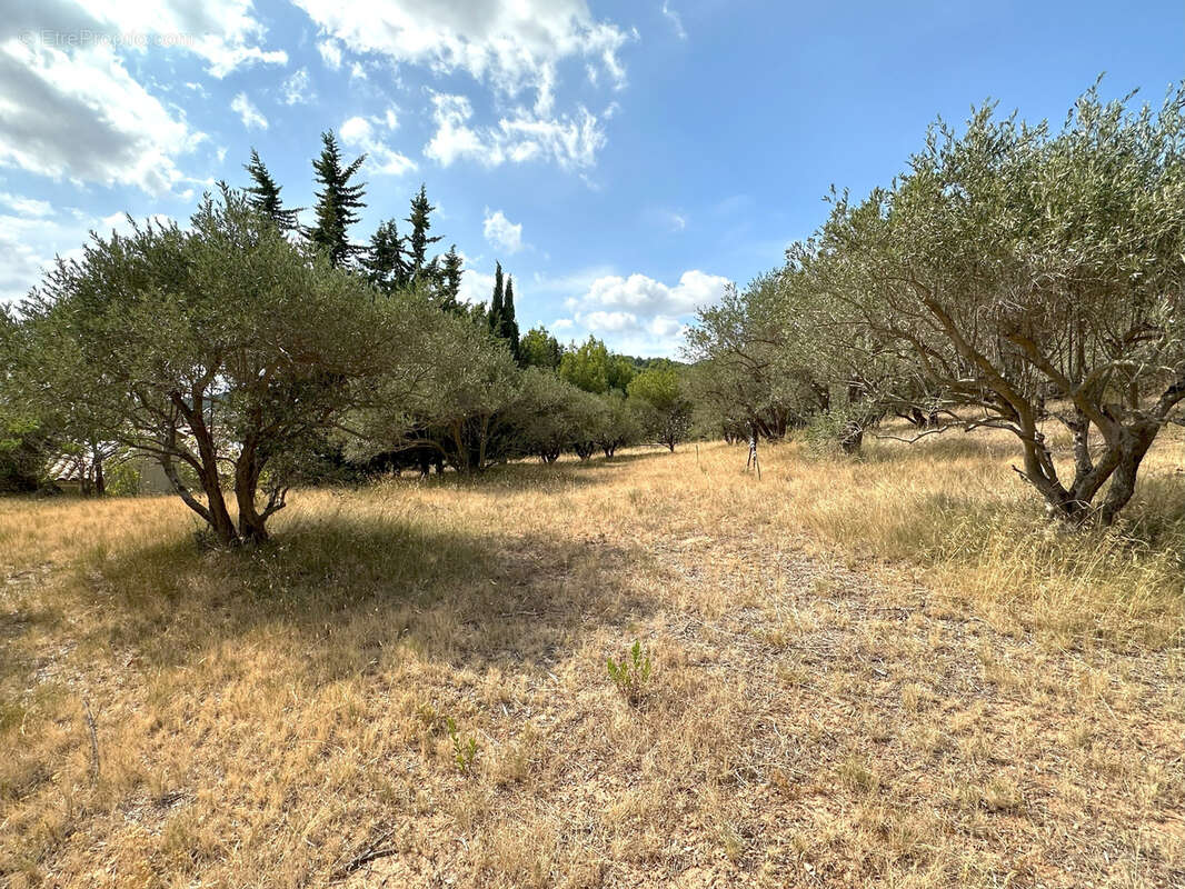 Maison à POUZOLS-MINERVOIS